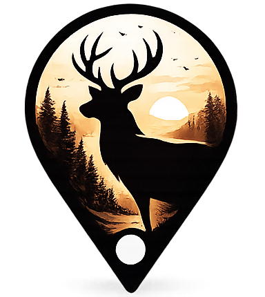 StagSense logo
